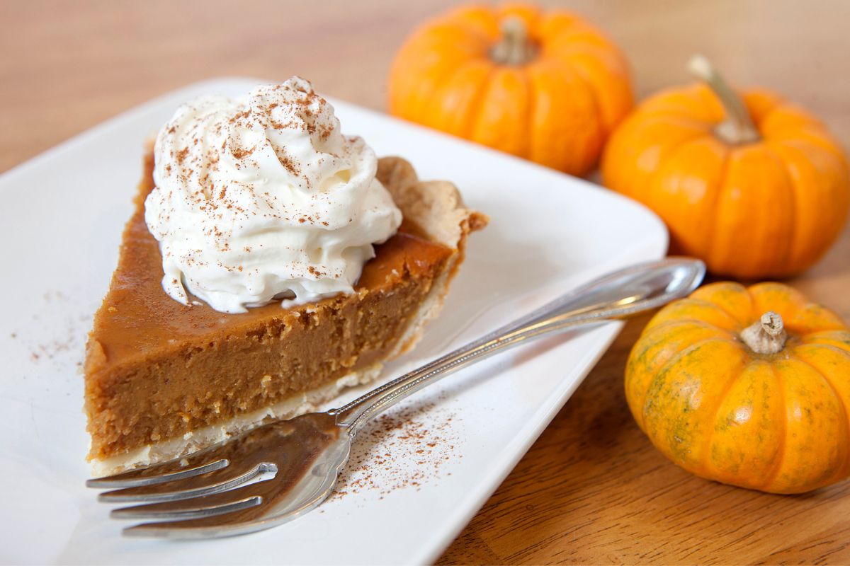 15 Best Dream Whip Pie Recipes To Try Today