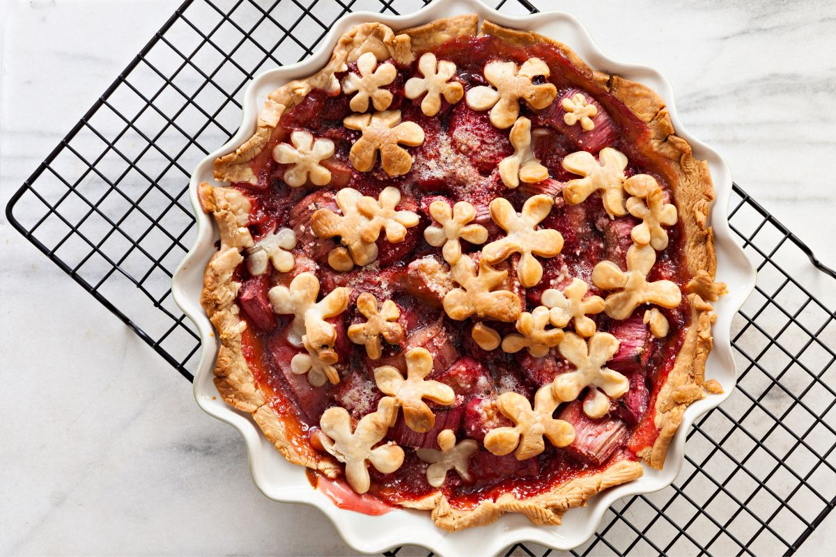 12 Delicious Rhubarb Cream Pie Recipes You Will Love