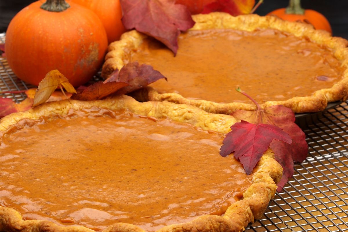 15 Delicious Fall Pie Recipes You Will Love