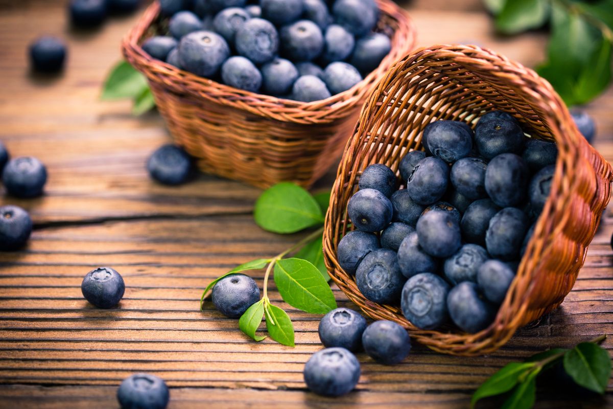 Blueberries: Do They Have Seeds & How To Extract Them