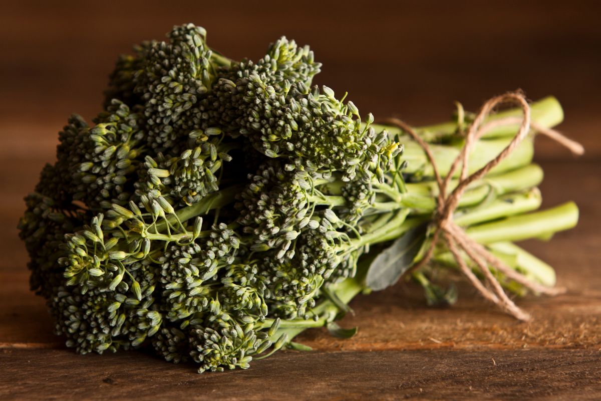 Broccoli Spears What Are They Health Benefits & Recipes