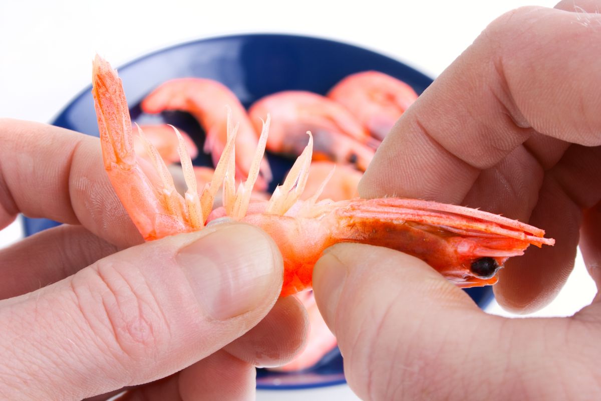 Can You Eat Shrimp Tails Health Benefits From Eating Them (1)