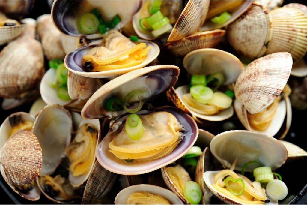 Clams Taste, Culinary Uses, Health Benefits & Cooking Tips