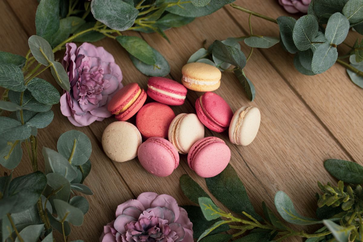 Best French Macaron