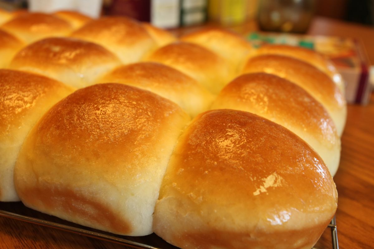 Dinner Rolls