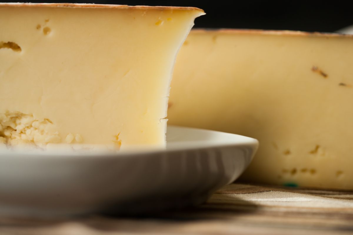 How Does Fontina Cheese Taste?