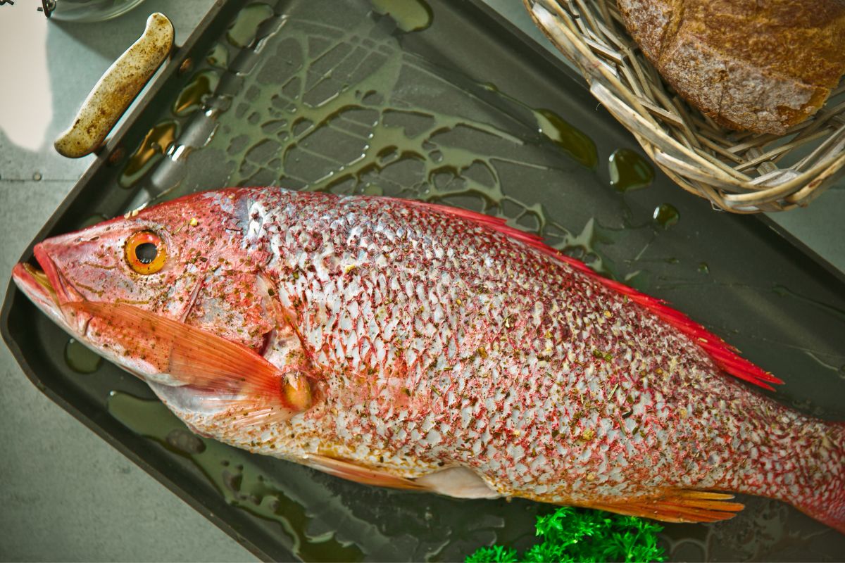 How Does Red Snapper Taste? (And How To Serve It)