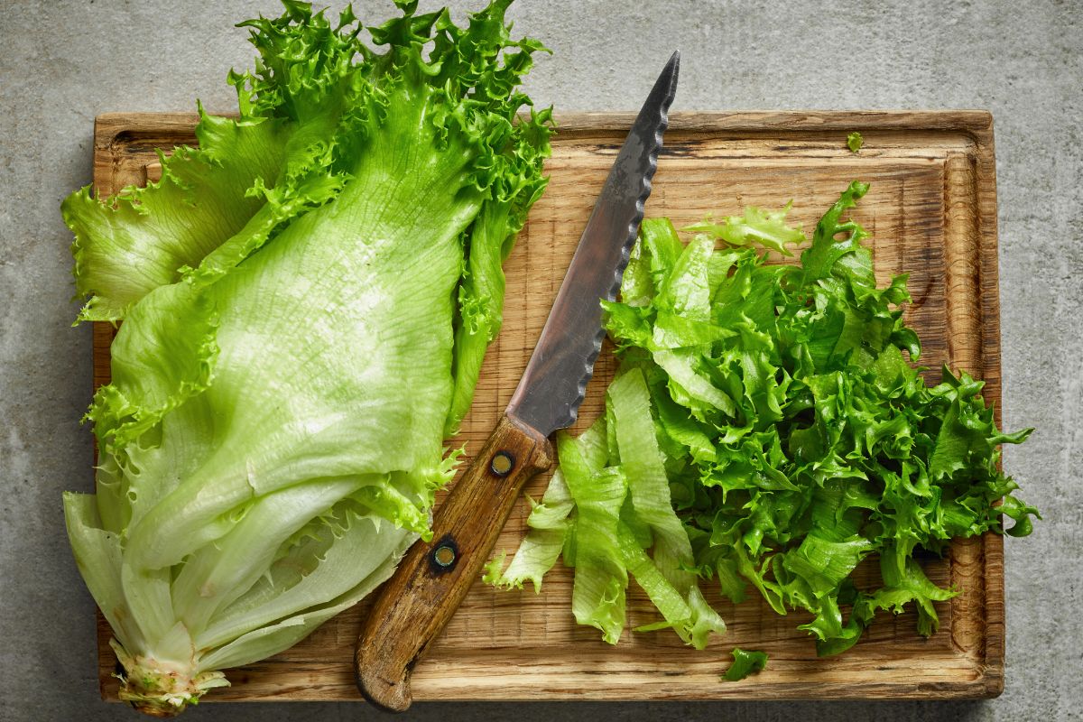 How Long Will Lettuce Stay Fresh When Left Out Of The Refrigerator