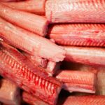 Shark Meat: Everything You Need To Know!