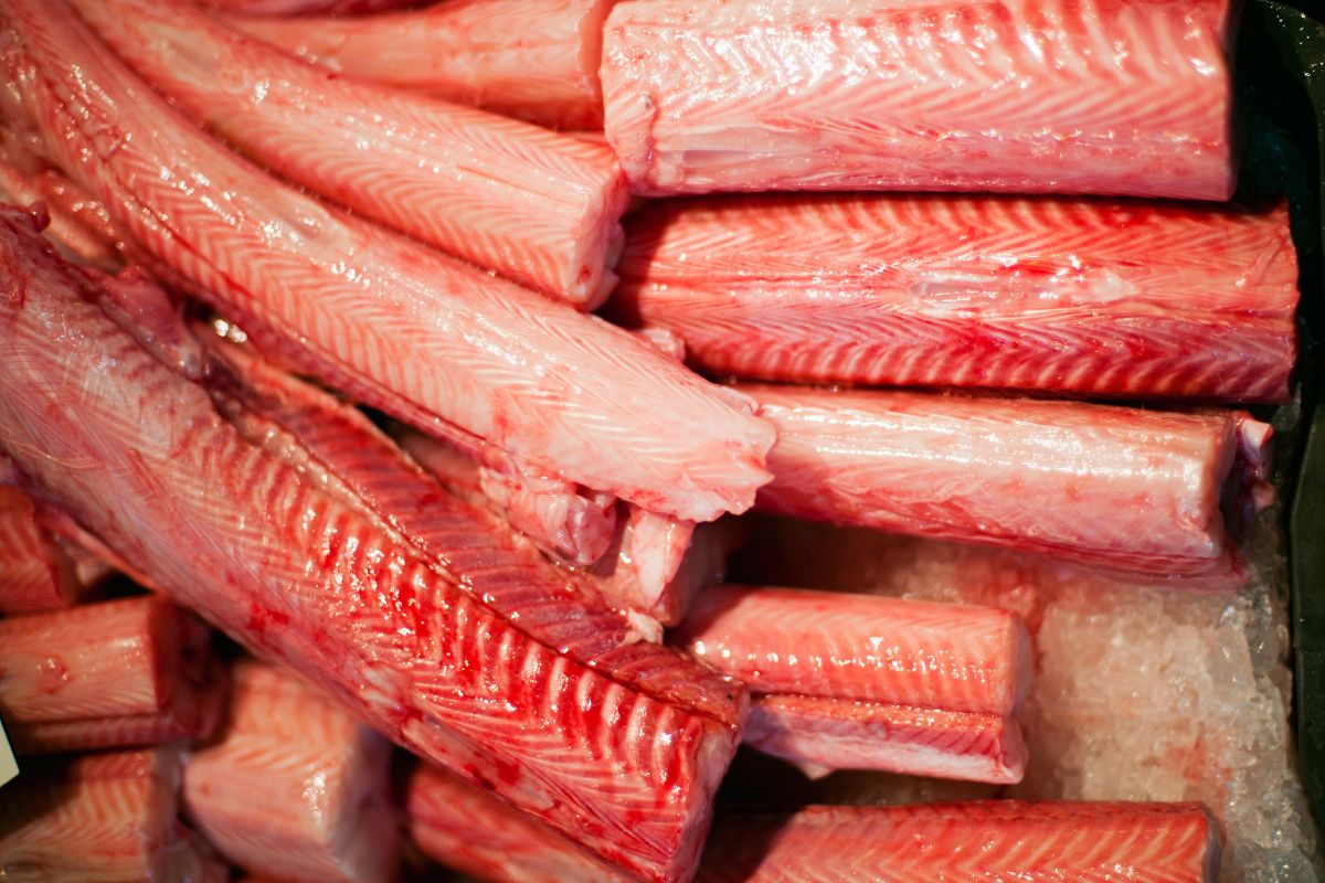 Shark Meat: Everything You Need To Know!