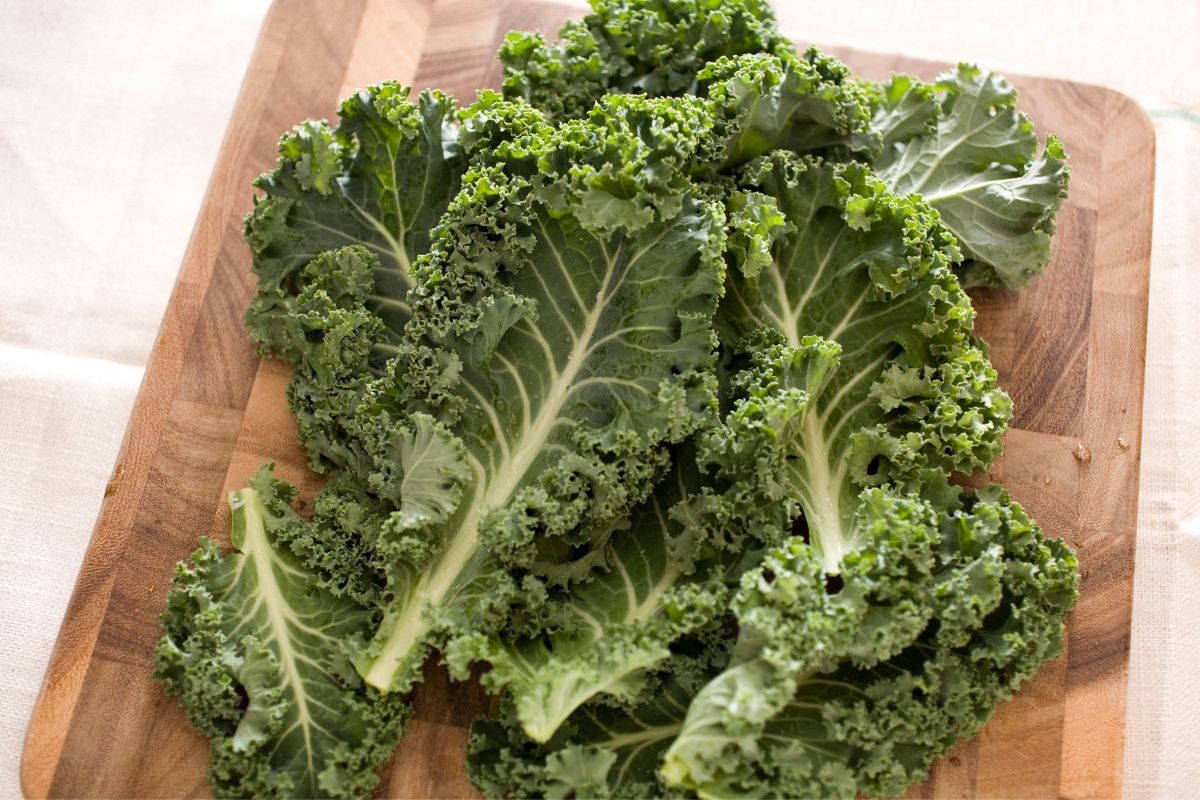 The Ultimate Guide To Kale The Taste, Color, and Why You Should Try it Today