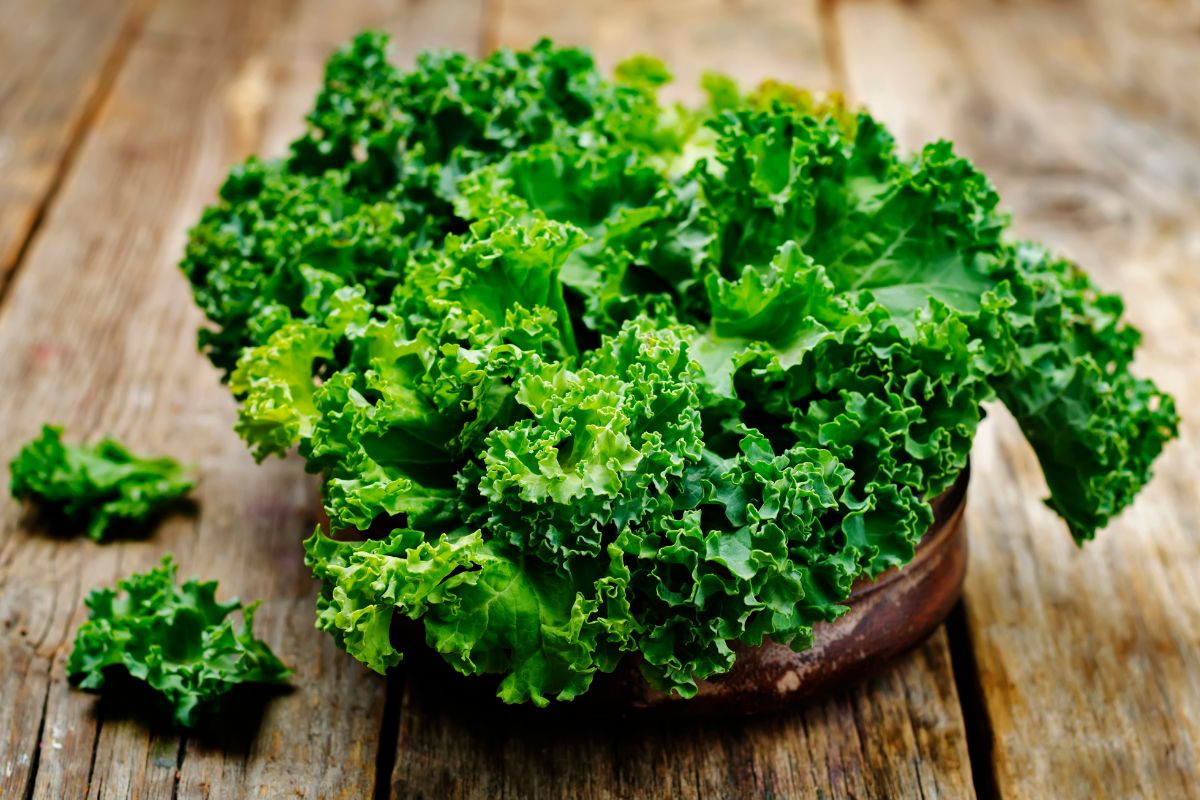 The Ultimate Guide To Kale The Taste, Color, and Why You Should Try it Today