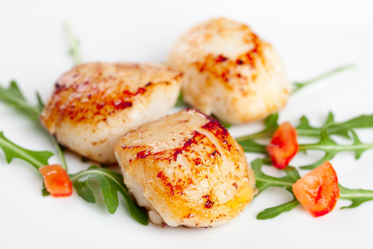 What Do Scallops Taste Like? The Ultimate Guide To Scallops