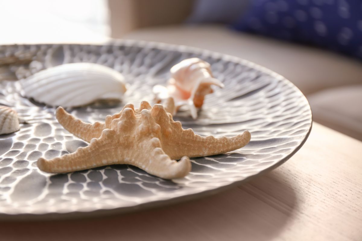 What Does Starfish Taste Like The Ultimate Guide To Starfish  (1)