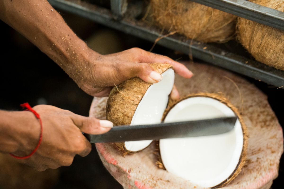 How To Open A Coconut