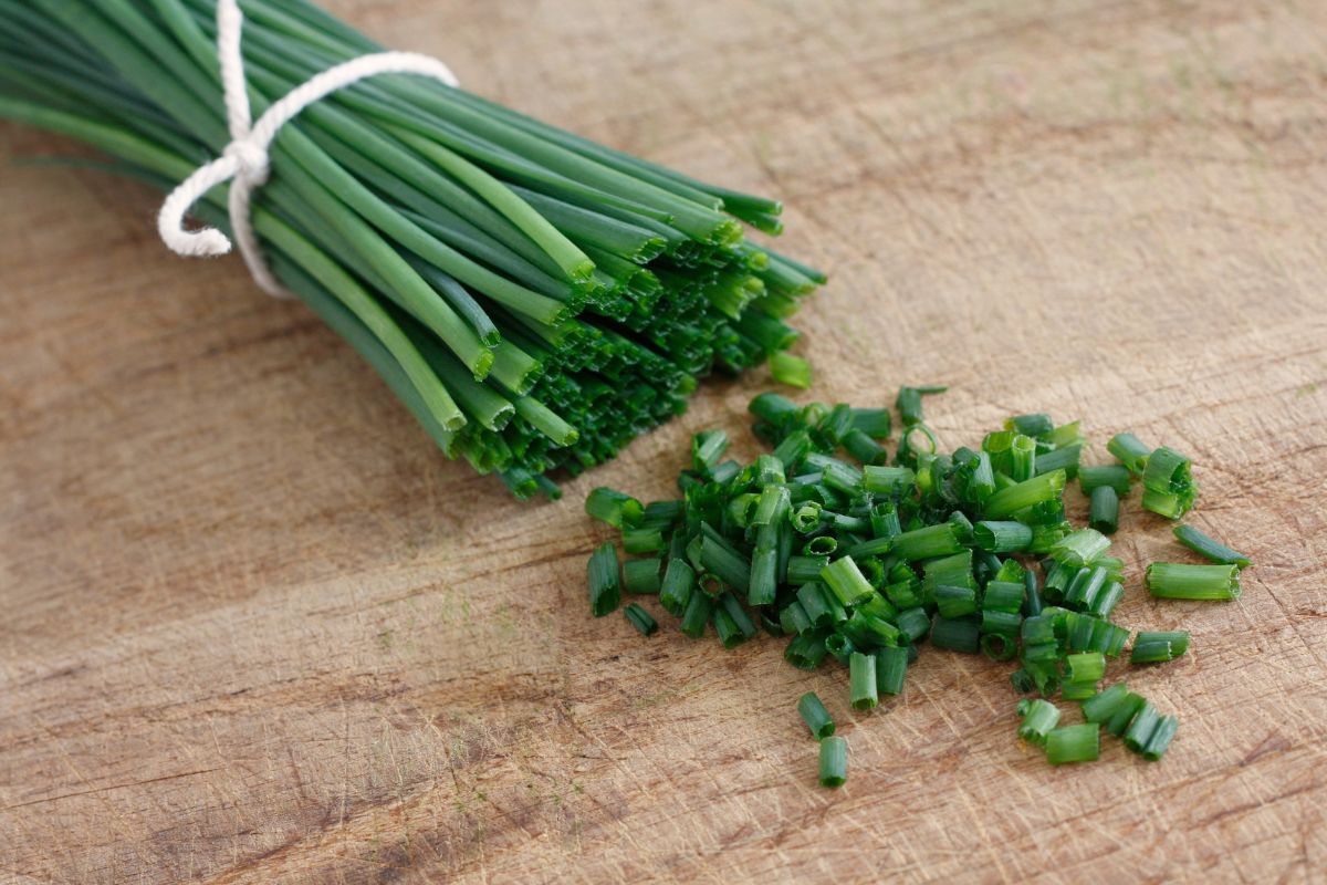 What Are Chives?