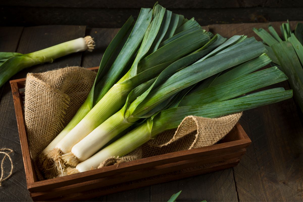 What Are Leeks?