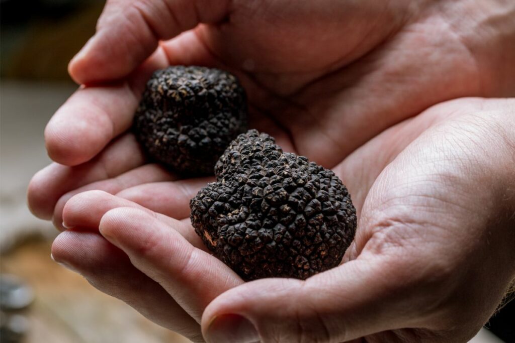What Is A Truffle