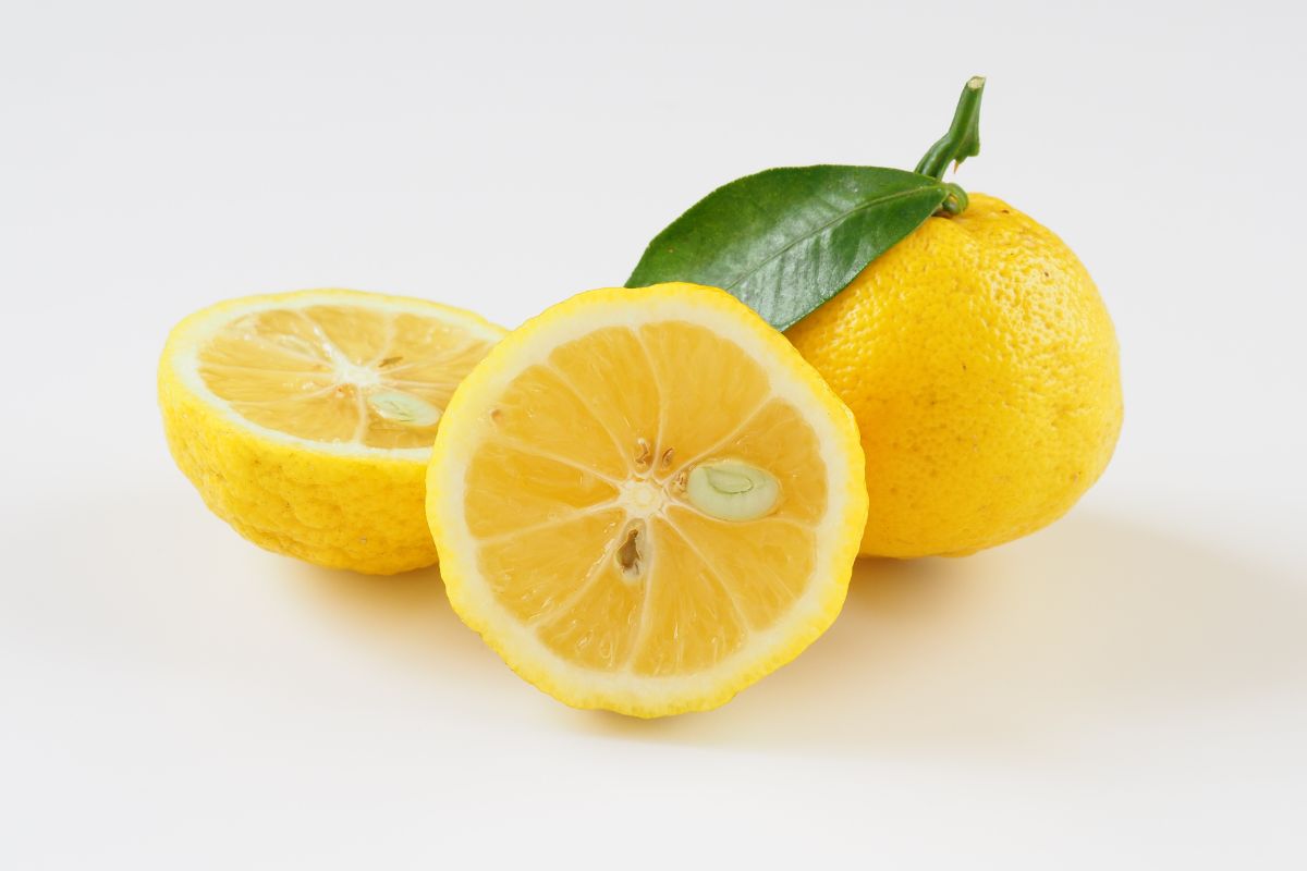 What Is Yuzu?